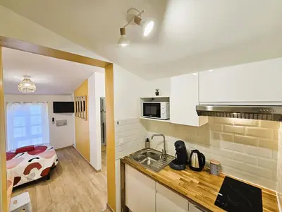 a kitchen with a sink and a room with a bed at Tout confort ! Centre-ville, Climatisation, Parking, Wifi, Calme, TV in Carcassonne