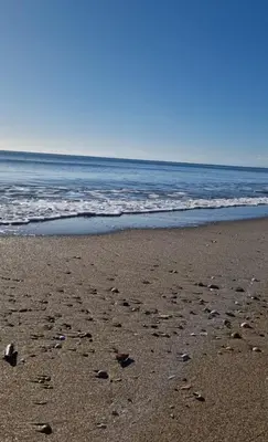 a beach with footprints in the sand and the ocean at Cyprès de vos rêves in Ornaisons