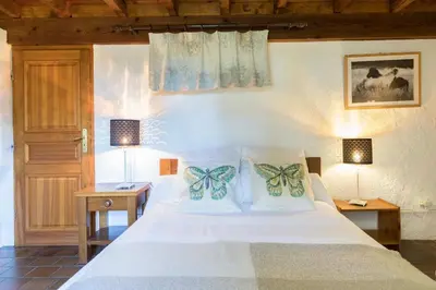 a bedroom with a bed with butterfly pillows on it at Le Cavalier in Caraman