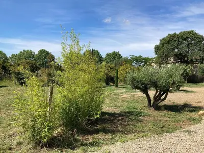 two bushes in a field with trees in the background at Stylish Villa in Sainte-Valière in Sainte-Vallière