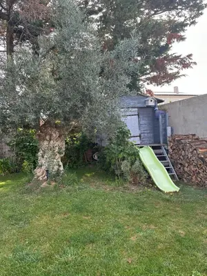 a green slide in a yard next to a tree at Maison paisible toute équipée, piscine chauffée in Sallèles-dʼAude
