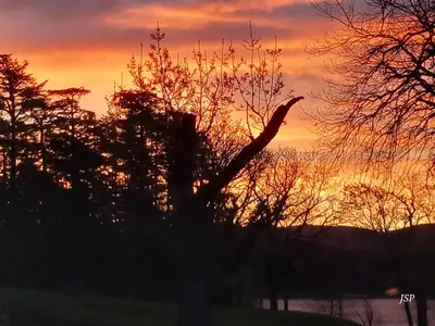 a giraffe standing in a tree at sunset at Mobilhome Les volets bleus in Vaudreuille