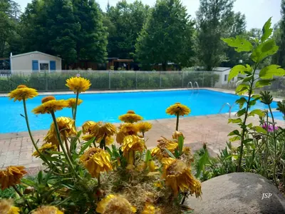 a bunch of flowers in front of a pool at Mobilhome Les volets bleus in Vaudreuille