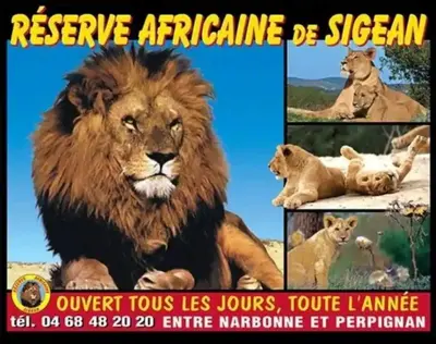 a poster for the remake of the lion king at Cosy Hypercentre Netflix in Narbonne