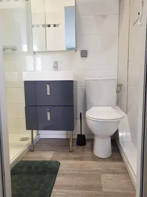 a bathroom with a toilet and a sink and a shower at Cosy Hypercentre Netflix in Narbonne
