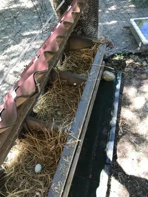 a wooden box filled with hay next to a tree at Bus atypique au bord du canal du midi et au cœur d'une forêt 2 chambres in Villepinte