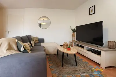 a living room with a couch and a tv at Superbe Nid Douillet avec Terrasse, Double Parking in Carcassonne