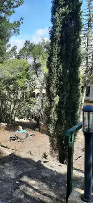 a park with a picnic table and a tree at Villa Bellevue in Roquefort-des-Corbières