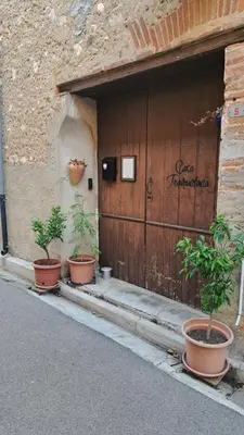 three potted plants sitting in front of a wooden door at Casa Tramuntana in Tautavel