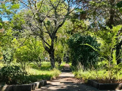 a path through a park with trees and grass at Maison de campagne Arty entièrement rénovée 4 chambres in Roquecourbe