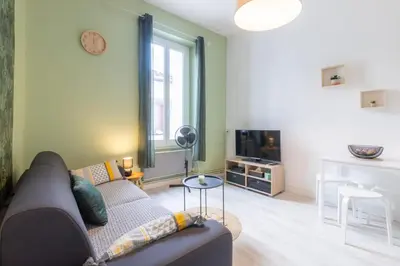 a living room with a couch and a tv at Le 107 CARCA ! in Carcassonne