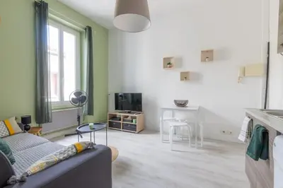 a living room with a couch and a table at Le 107 CARCA ! in Carcassonne