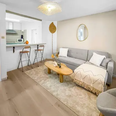 a living room with a couch and a table at 490 appartement in Carcassonne