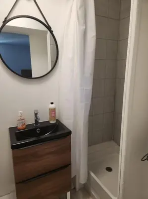 a bathroom with a sink and a mirror and a shower at Le Maillot V in Castres