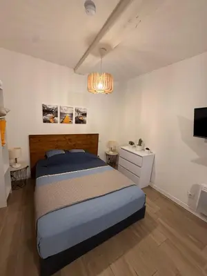 a bedroom with a bed and a television in it at Bulles de bonheur - Carcassonne in Carcassonne
