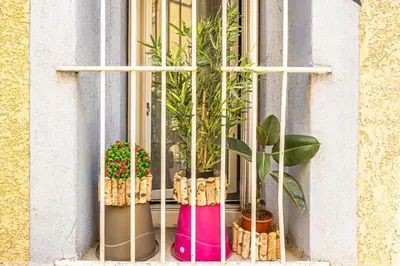 a window with a bunch of potted plants on it at Le Cocon Urbain in Narbonne