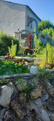 a garden with a bird standing on some rocks at La maison d'Aude in Quillan