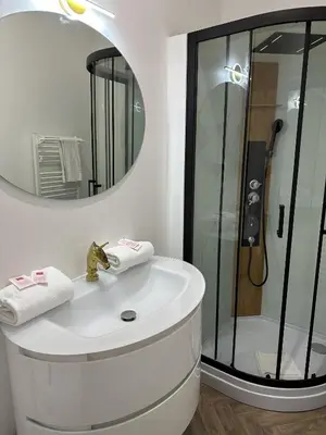 a bathroom with a sink and a shower with a mirror at Studio Cosy du Cloitre in Narbonne