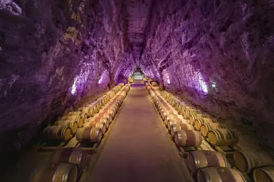 a wine cellar with barrels of wine in a cave at Le Mieukerien - Réserve africaine 15 mn - Plage 200 m in Port-la-Nouvelle