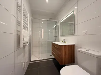 a bathroom with a shower and a toilet and a sink at Le Moderniste Proche des Halles et Cathédrale in Narbonne