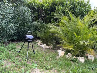 a black grill sitting in the grass near some bushes at Gîte Le Sallèles in Sallèles-dʼAude