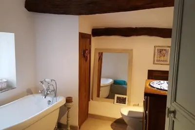 a bathroom with a tub and a toilet and a mirror at Ceps Cottage sleeps 6 with free wifi near the river in Roquebrun