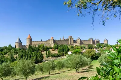 a view of a castle with trees and turrets at Le Grenier in Carcassonne