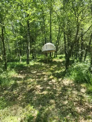 a tent in the middle of a forest at Bulle perchée in Sonnac-sur-lʼHers