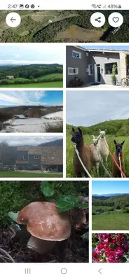 a collage of photos with a horse and a house at Bulle perchée in Sonnac-sur-lʼHers