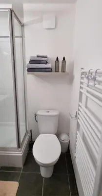 a white bathroom with a toilet and a shower at Jardin des oiseaux in Narbonne