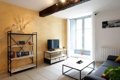 a living room with a couch and a tv at Résidence Armagnac - City Center in Carcassonne