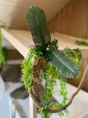 a leafy plant is hanging from a table at Serengeti Safari Room in Sigean