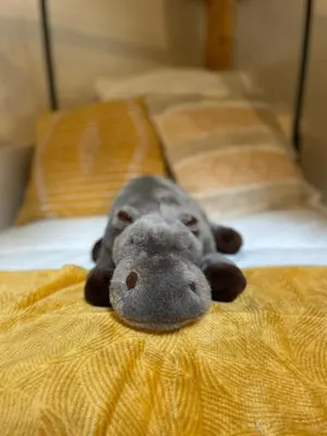 a stuffed animal is laying on a bed at Serengeti Safari Room in Sigean