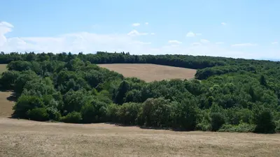 an overhead view of a forest of trees in a field at Maison avec vue sur le Lac de Montbel in Montbel