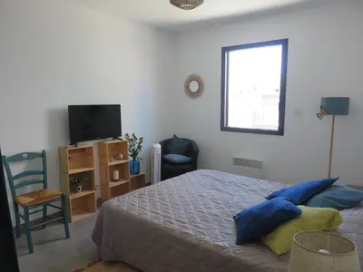 a bedroom with a bed and a tv and a chair at L'hibiscus in Narbonne