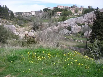 a field of grass with rocks and flowers at Petit gite rustique et économique in Albas