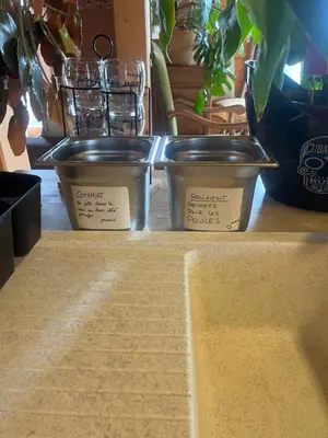 three containers sitting on a shelf with plants at Cottage atypique avec piscine & accès au lac 6 personnes in Molleville
