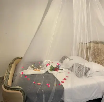 a bed with a canopy with hearts on it at Studio jacuzzi à l'abri des vents in Carcassonne