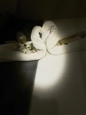 a baby laying in a bed with white towels at Studio jacuzzi à l'abri des vents in Carcassonne