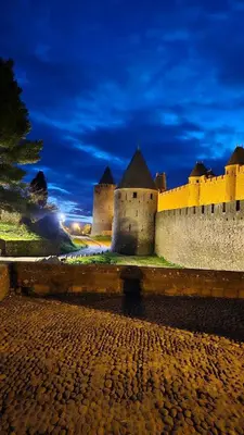 a large castle sitting on top of a stone wall at Studio jacuzzi à l'abri des vents in Carcassonne
