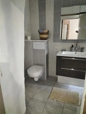 a bathroom with a toilet and a sink at Appartement le petit bonheur in Saint-Pons-de-Thomières