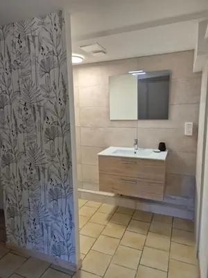 a bathroom with a sink and a mirror at Gîte rural 8 à 10 personnes au coeur du Parc National du Haut Languedoc in Saint-Pons-de-Thomières