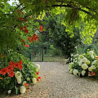 a garden with red and white flowers and a gate at Villa Angel - SPA in Caunes-Minervois
