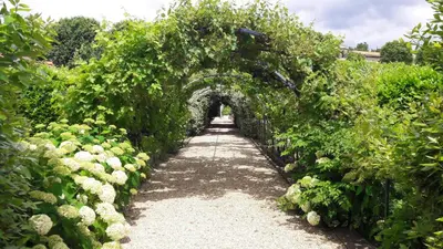 an archway in a garden with white roses at Villa Angel - SPA in Caunes-Minervois