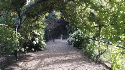 a garden with an archway with white flowers at Villa Angel - SPA in Caunes-Minervois