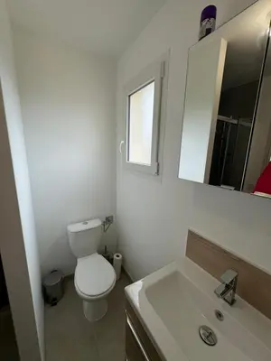 a bathroom with a toilet and a sink and a mirror at La Gourgotte in Ajac
