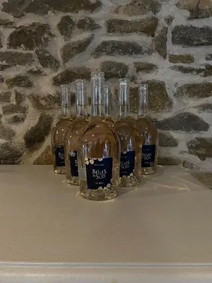 a group of wine glasses sitting on a shelf at Chez Pauline & Vincent Côté Canal in Carcassonne
