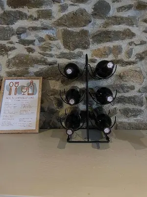a group of lights hanging on a stone wall at Chez Pauline & Vincent Côté Canal in Carcassonne