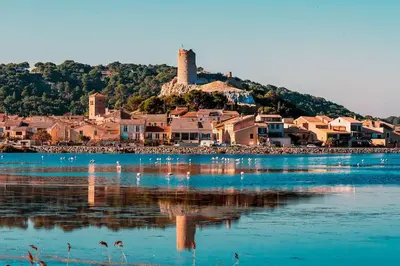 a group of birds on the water in front of a town at Appartement du bonheur- 6 personnes in Gruissan