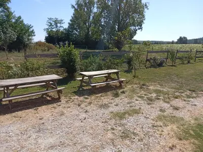 two picnic tables sitting in a field with a fence at Maison indépendante à la ferme in Palleville
